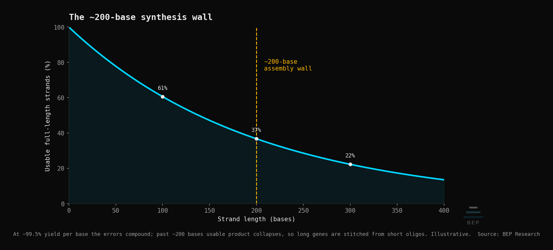 A downward curve showing usable full-length DNA strands falling as strand length grows, collapsing past a marked ~200-base assembly wall.